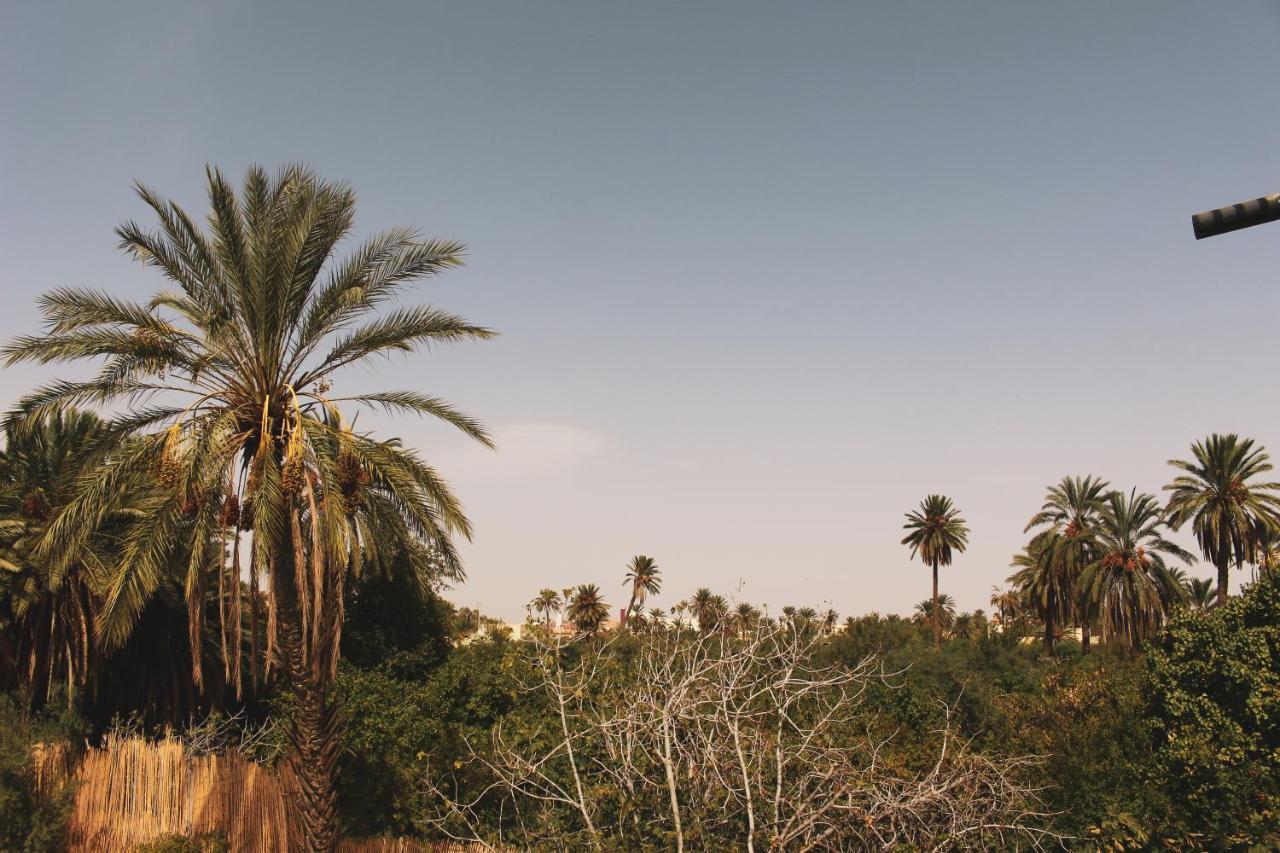 מלון Gafsa Dar Seddik מראה חיצוני תמונה