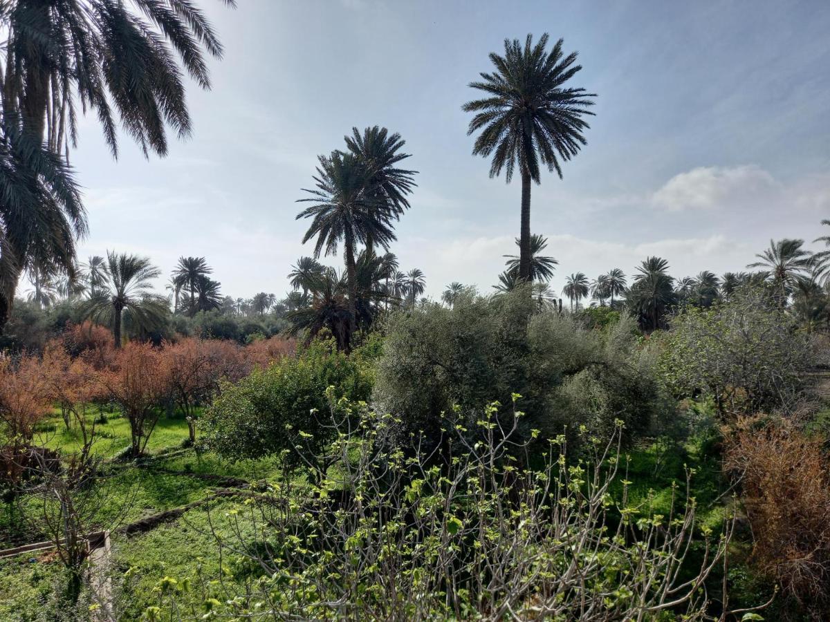 מלון Gafsa Dar Seddik מראה חיצוני תמונה