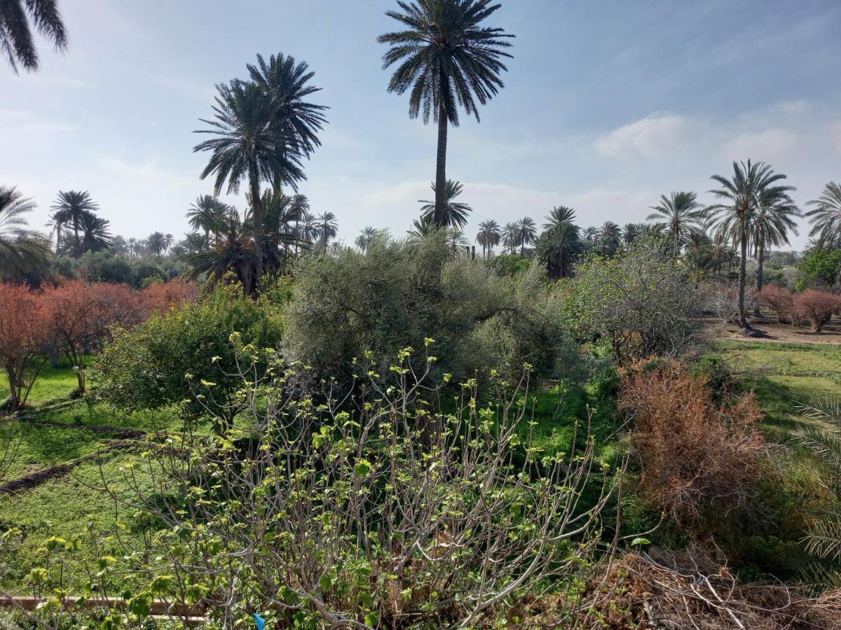 מלון Gafsa Dar Seddik מראה חיצוני תמונה