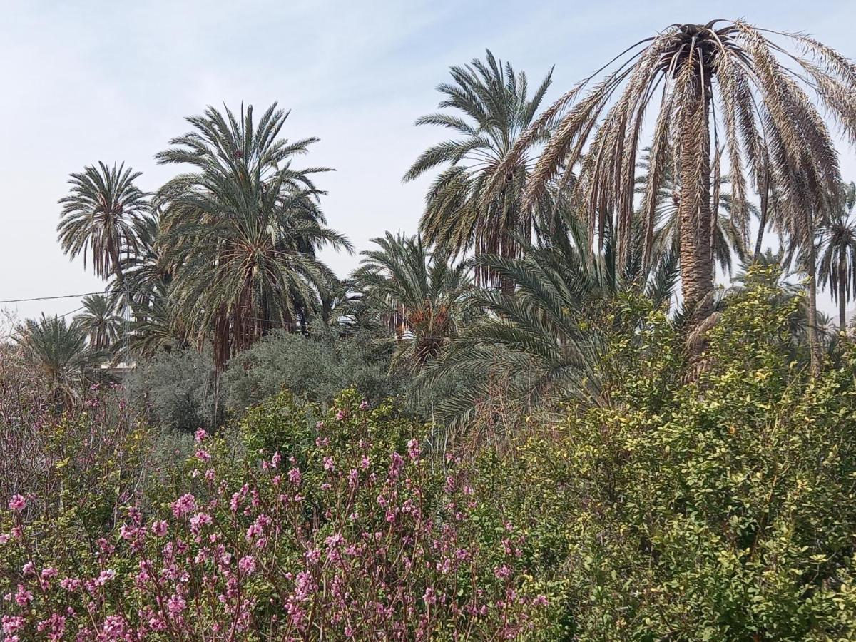 מלון Gafsa Dar Seddik מראה חיצוני תמונה