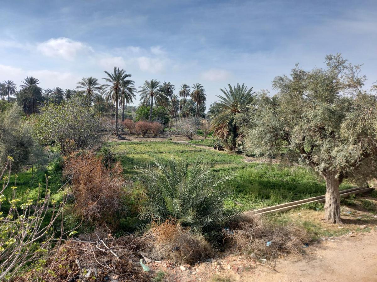 מלון Gafsa Dar Seddik מראה חיצוני תמונה