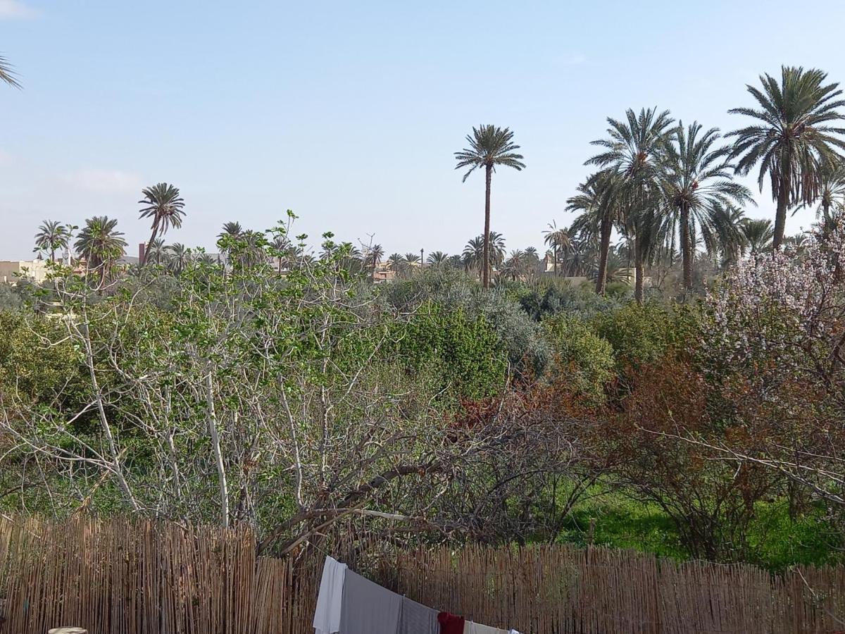 מלון Gafsa Dar Seddik מראה חיצוני תמונה